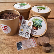 Kräuter Pflanzset im Becher