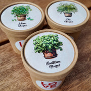 Kräuter Pflanzset im Becher